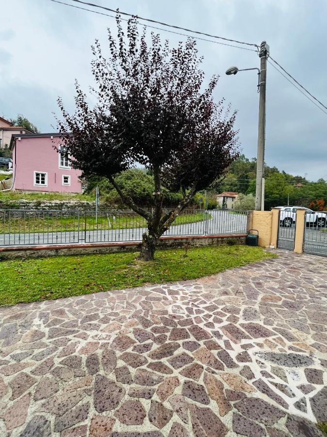 Casa Mia Malva Apartment Ricco del Golfo di Spezia Ngoại thất bức ảnh