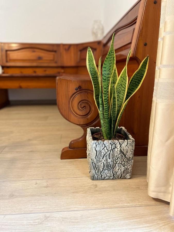 Casa Mia Malva Apartment Ricco del Golfo di Spezia Ngoại thất bức ảnh